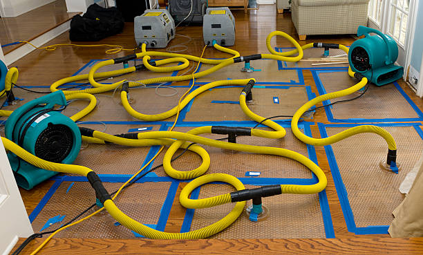 Professional Sewage Cleanup technician working in Mequon, WI